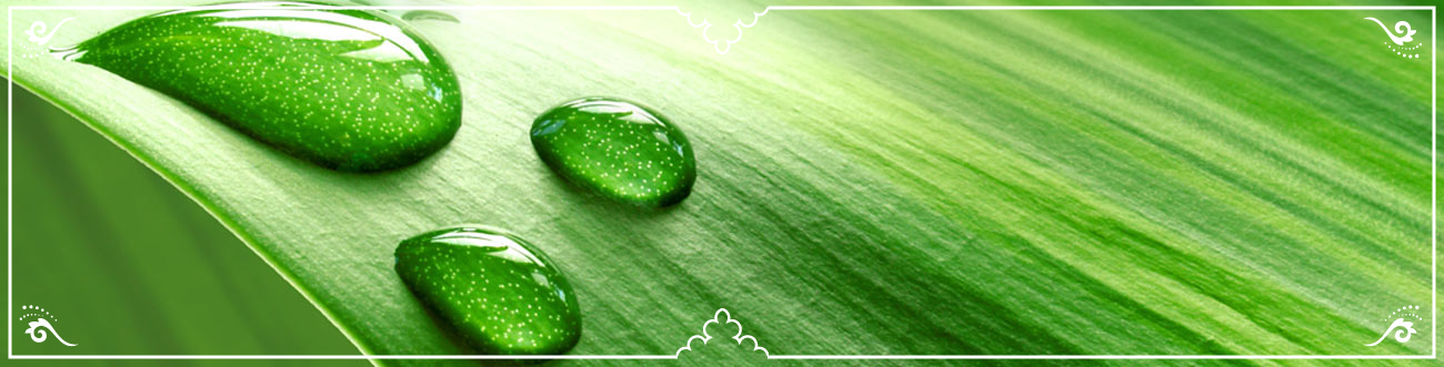 Goutte d'eau | Krishna Yoga à Grenoble